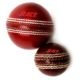 Promotional-Cricket-Ball06_10_2015_12_01_29